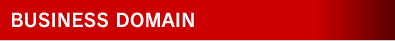 BUSINESS DOMAIN