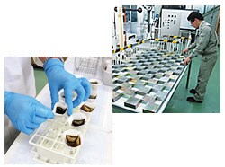 商品開発を支える応用研究