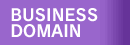 BUSINESS DOMAIN