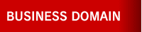 BUSINESS DOMAIN