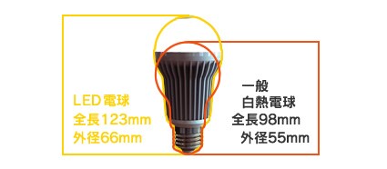 一般白熱電球の寸法比較