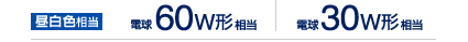 電球60W相当　昼白色相当　直下照度は60ｗ形相当?明るさは30ｗ形相当