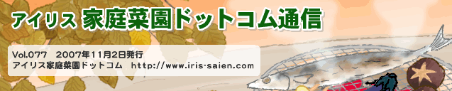 �A�C���X�ƒ�؉��h�b�g�R���ʐM
