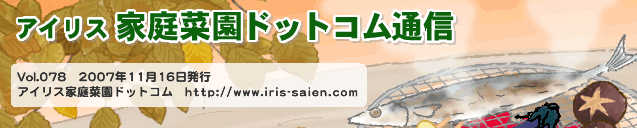 �A�C���X�ƒ�؉��h�b�g�R���ʐM
