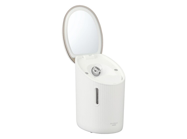 Facial Steamer
