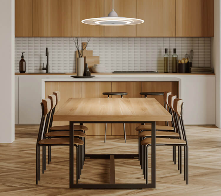 LED Ceiling Light