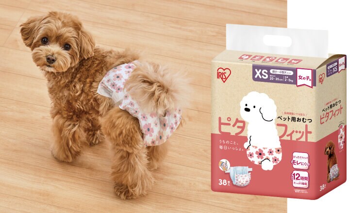 Pet Diapers