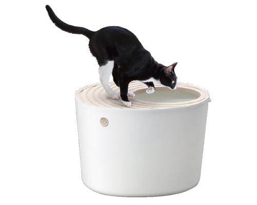 Top Entry Cat Litter Box