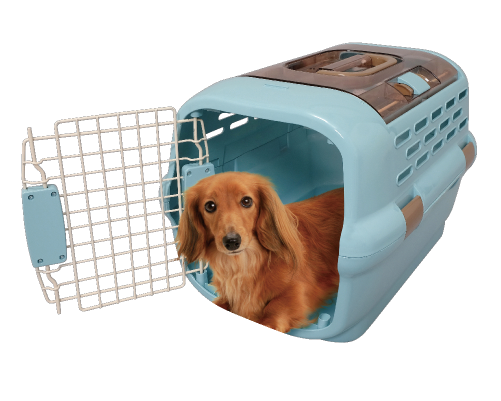 Pet Carrier