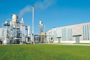 DALIAN IRIS WOODEN PRODUCTS