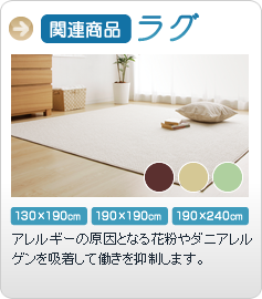 ラグ