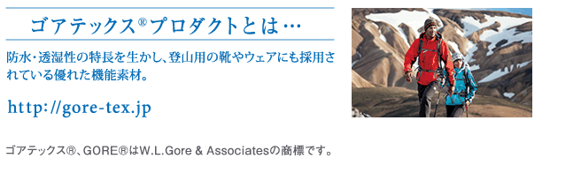 特殊フィルムePTFEメンブレン