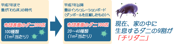 チリダニ