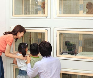 ペットショップ