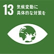 sdgs-logo13