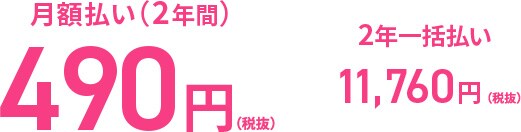 月額払い（2年間）490円(税抜)、2年一括払い 11,760円(税抜)
