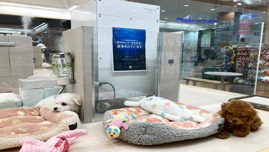 株式会社ペットハウス テン・テン 様