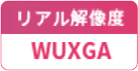 リアル解像度：WUXGA