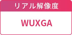 リアル解像度：WUXGA