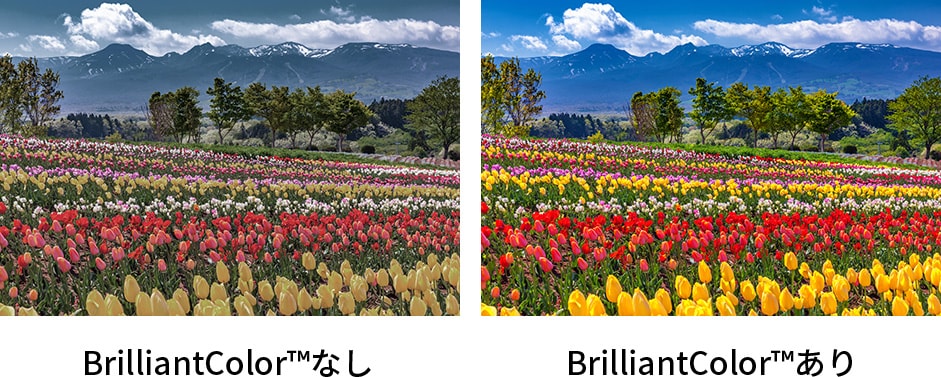 BrilliantColor™技術