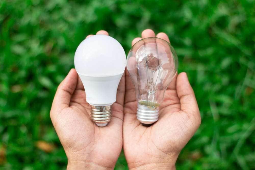 手にのったLED電球と蛍光灯