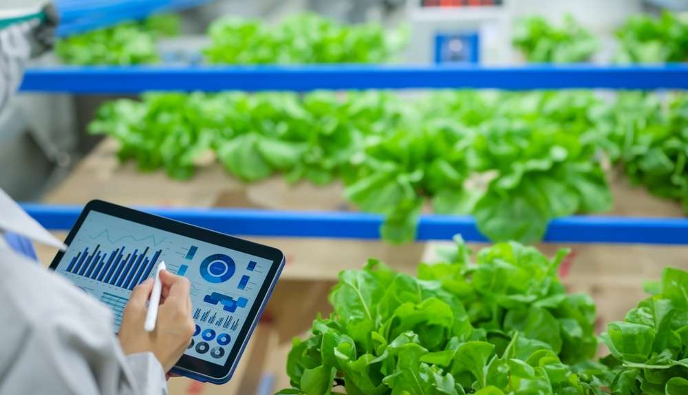 野菜室を管理する人