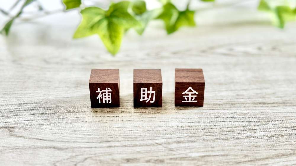 補助金のイメージ