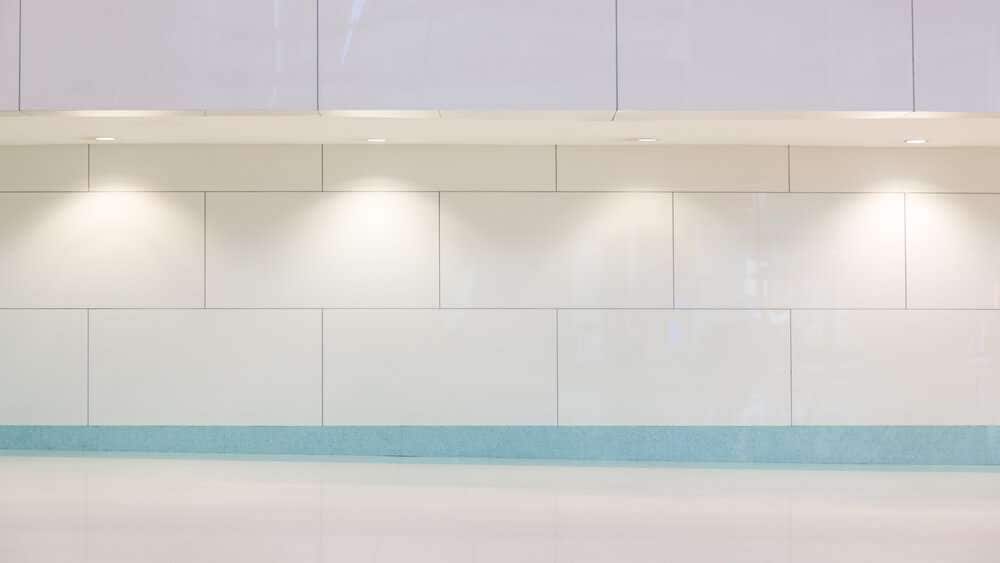 設置されたダウンライト