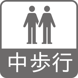 中歩行