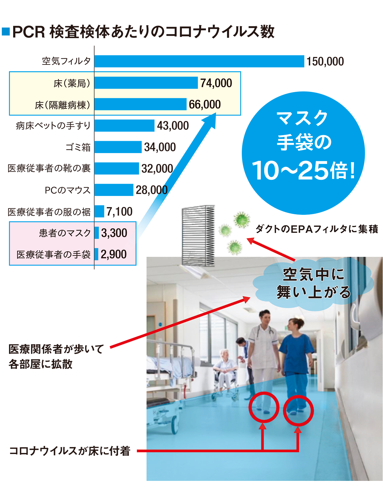 PCR検査検体あたりのコロナウィルス数