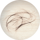 髪の毛のイメージ