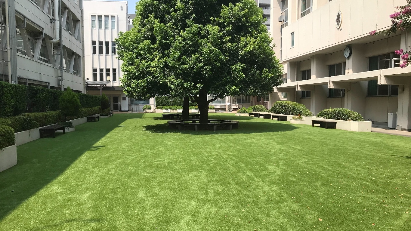新渡戸文化学園 様