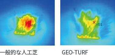 GEO-TURF
