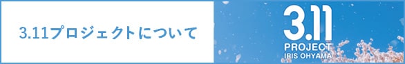 3.11プロジェクトについて