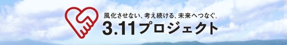 3.11プロジェクトについて