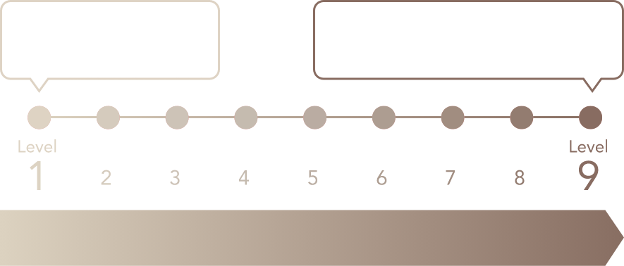 レベルのイメージ