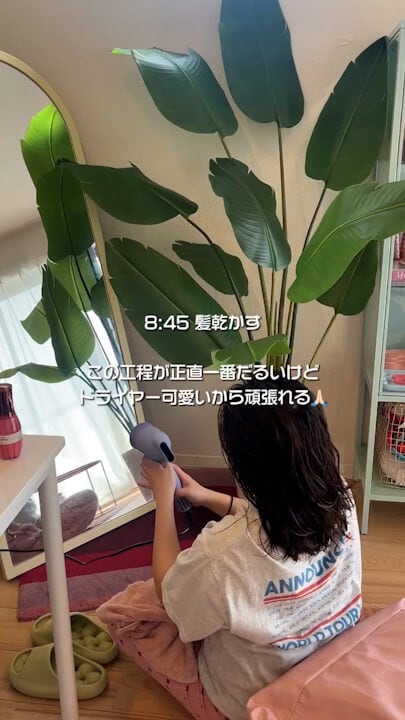micolaのクイックイオンドライヤー