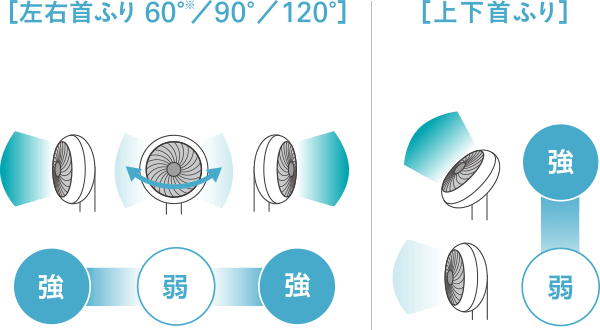左右首ふり・上下首振り