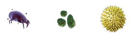 ダニ・チリ・花粉
