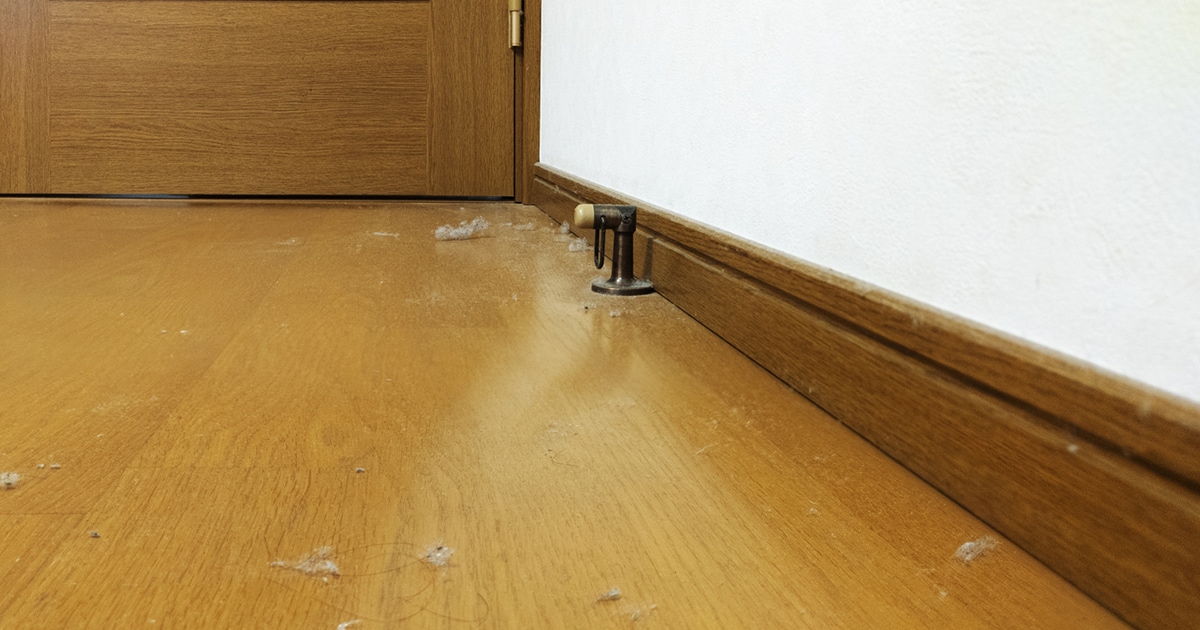 取っても取っても出てくるホコリ。少しでもラクにお掃除するには？