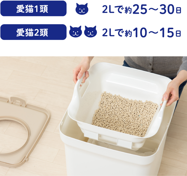 猫砂