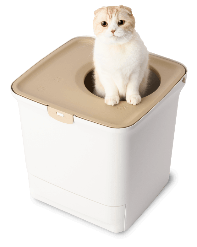 でかい猫とトイレ