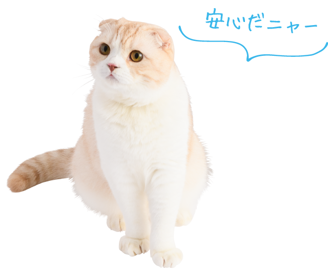 安心だニャー