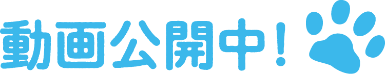動画公開中
