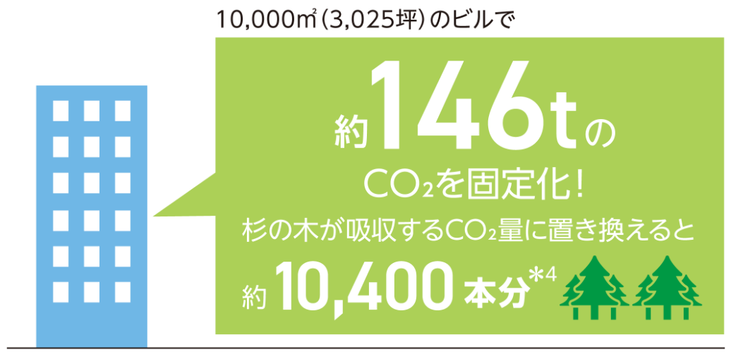 木材の活用でCO₂を固定化