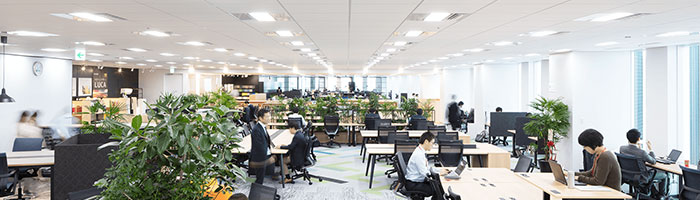 オフィスで取り組むSDGs-アイリスチトセ株式会社-