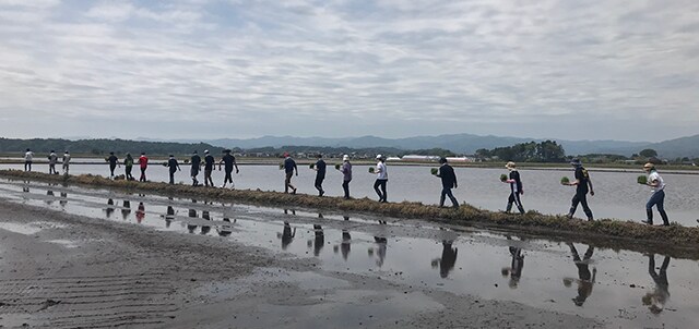 田植えのエリアまでお行儀よく移動
