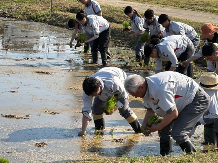 セレモニーイベントでは、社員が手植えを体験しました