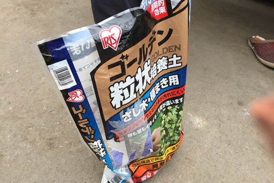 ゴールデン粒状培養土を使用