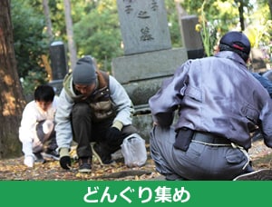 種集め